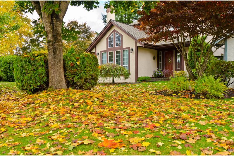 Fall-Yard-Maintenance-Tips-for-the-Homeowner